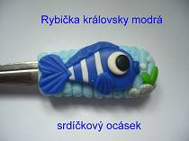 Rybička královská modrá, srdíčkový ocásek, cena 60 Kč / kus