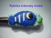 Rybička královská modrá, cena 60 Kč / kus