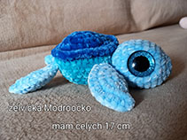 Želvička malá, cena 320 Kč